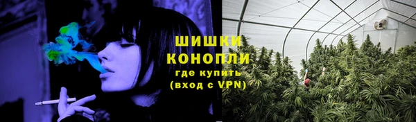 стаф Белокуриха