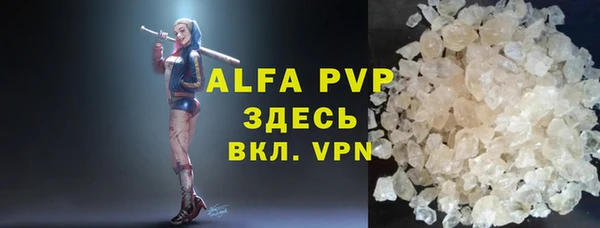 стаф Белокуриха