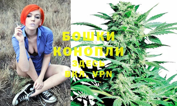 молекула духа Беломорск