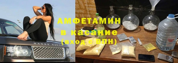 стаф Белокуриха