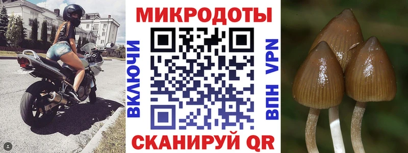 Псилоцибиновые грибы Cubensis  даркнет сайт  Пыть-Ях 